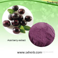 Healthcare Natural Acai Berry Brazilian Acai powder Acai Berry Extract